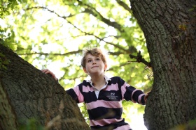 A child wearing a black and pink striped shirt is climbing between two large tree trunks, surrounded by bright green leaves and sunlight filtering through the branches. The child looks upwards with a curious expression.