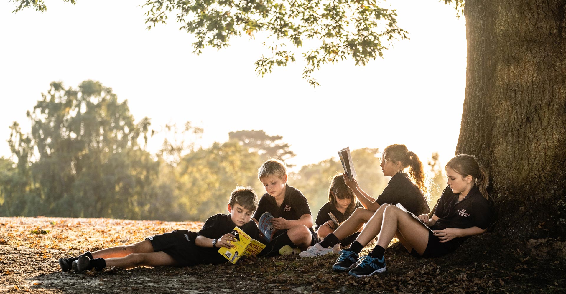 Five children in school uniforms sit and lie on the ground under a large tree, reading books. They are surrounded by a sunlit, leafy landscape in the background, creating a serene atmosphere.