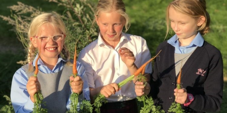 Cottesmore school children gardening