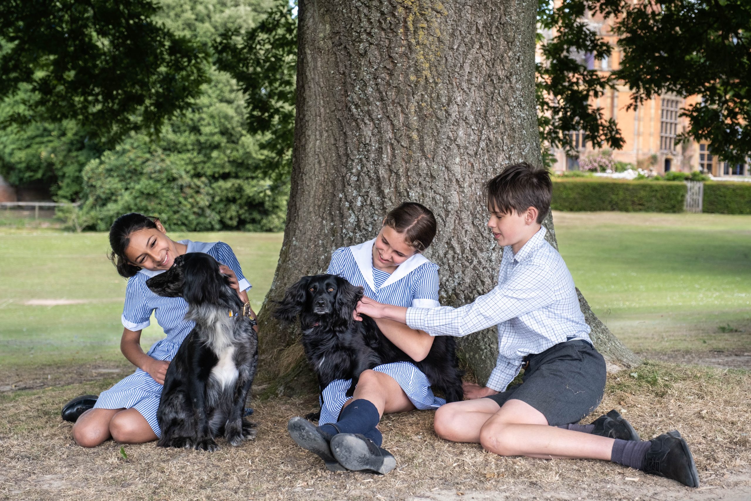 Three children in Cottesmore School uniforms sit under a large tree with two black dogs. Smiling and petting the dogs, they enjoy the grassy area on a sunny day, with a building and greenery providing the perfect backdrop.